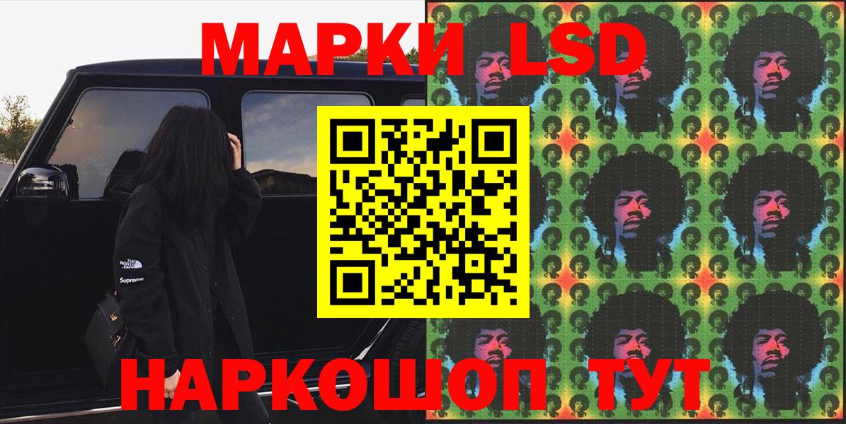  COCAIN Гатчина