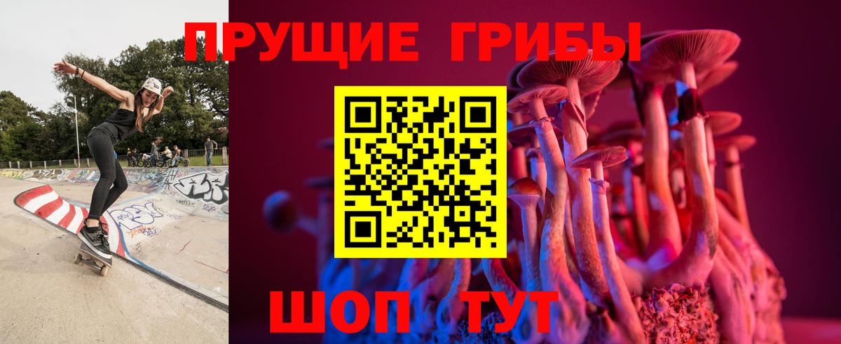 Псилоцибиновые грибы GOLDEN TEACHER Гатчина