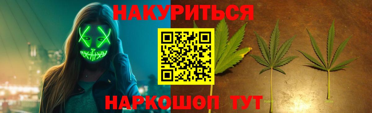МАРИХУАНА сатива Гатчина